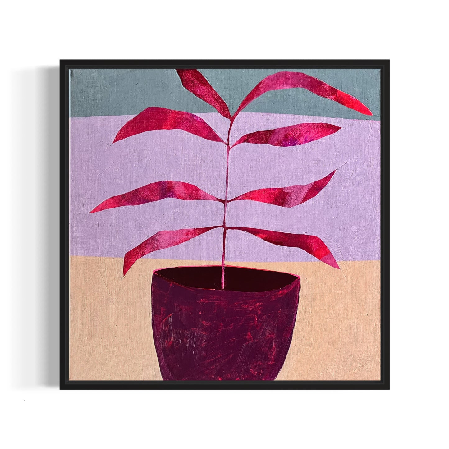 Plant Portraits 15  |  50x50 cm