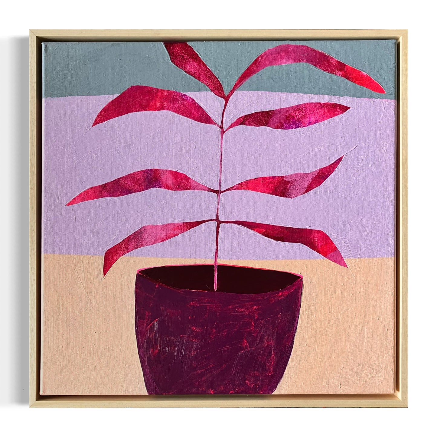 Plant Portraits 15  |  50x50 cm