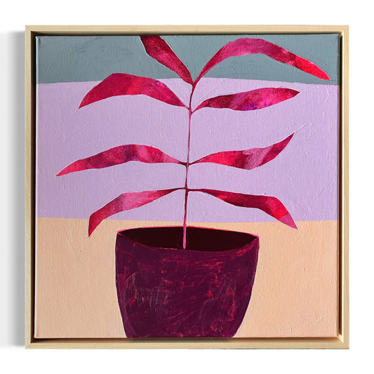 Plant Portraits 15  |  50x50 cm